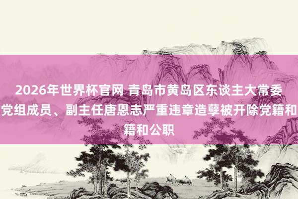 2026年世界杯官网 青岛市黄岛区东谈主大常委会原党组成员、副主任唐恩志严重违章造孽被开除党籍和公职
