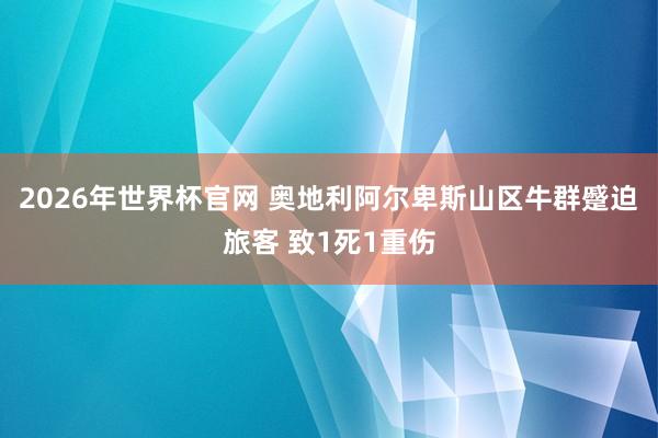 2026年世界杯官网 奥地利阿尔卑斯山区牛群蹙迫旅客 致1死1重伤