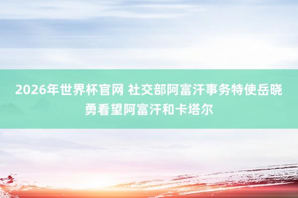 2026年世界杯官网 社交部阿富汗事务特使岳晓勇看望阿富汗和卡塔尔