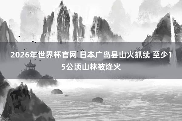2026年世界杯官网 日本广岛县山火抓续 至少15公顷山林被烽火