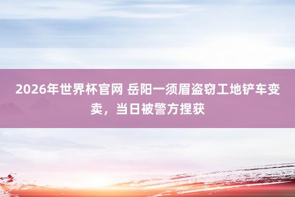 2026年世界杯官网 岳阳一须眉盗窃工地铲车变卖，<a href=
