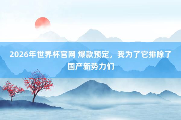 2026年世界杯官网 爆款预定，我为了它排除了国产新势力们
