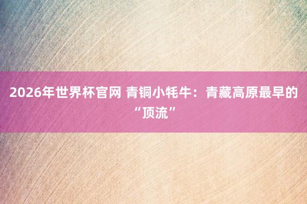 2026年世界杯官网 青铜小牦牛：青藏高原最早的“顶流”