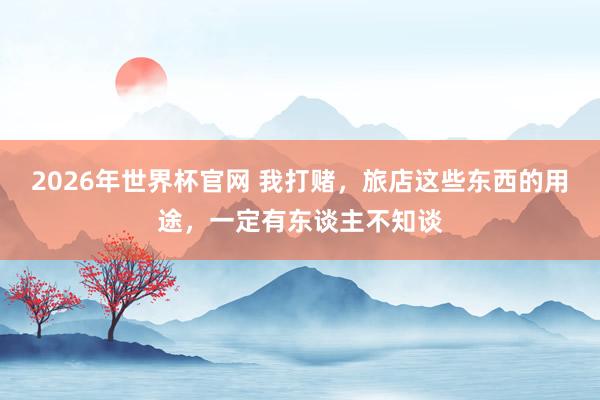 2026年世界杯官网 我打赌，旅店这些东西的用途，一定有东谈主不知谈