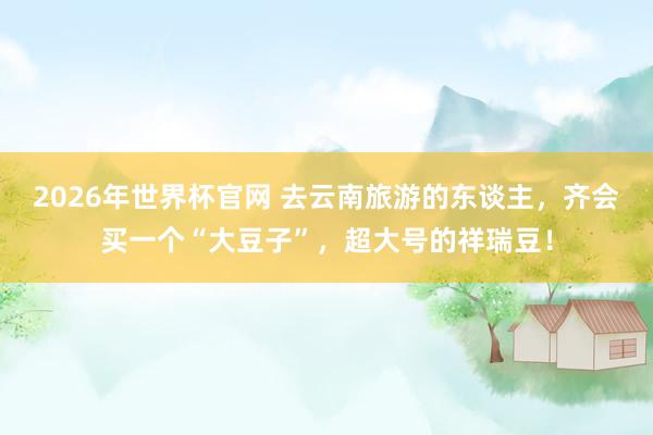 2026年世界杯官网 去云南旅游的东谈主，齐会买一个“大豆子”，超大号的祥瑞豆！