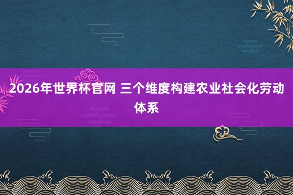2026年世界杯官网 三个维度构建农业社会化劳动体系