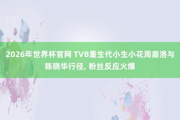 2026年世界杯官网 TVB重生代小生小花周嘉洛与陈晓华行径， 粉丝反应火爆