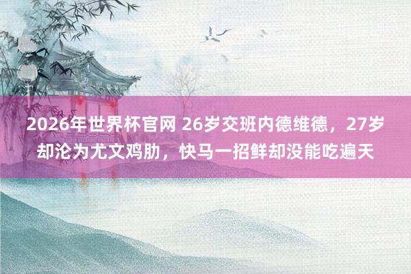 2026年世界杯官网 26岁交班内德维德，27岁却沦为尤文鸡肋，快马一招鲜却没能吃遍天