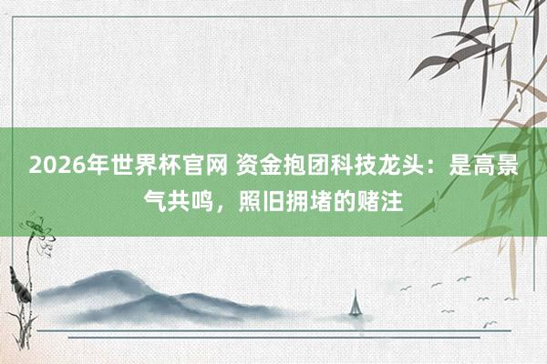 2026年世界杯官网 资金抱团科技龙头：是高景气共鸣，照旧拥堵的赌注