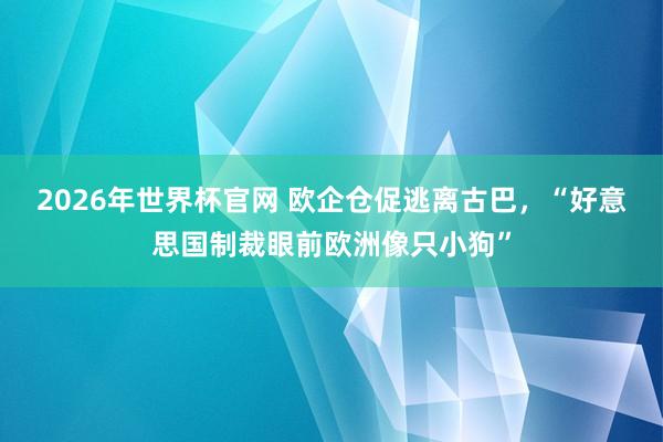 2026年世界杯官网 欧企仓促逃离古巴，“好意思国制裁眼前欧洲像只小狗”