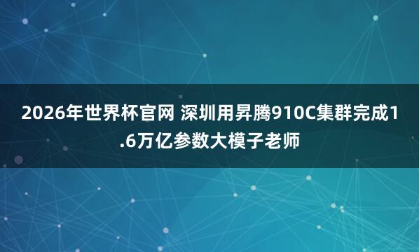 2026年世界杯官网 深圳用昇腾910C集群完成1.6万亿参数大模子老师