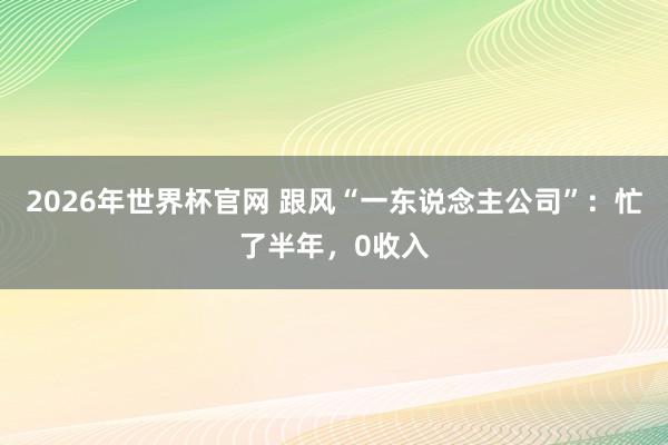 2026年世界杯官网 跟风“一东说念主公司”：忙了半年，0收入