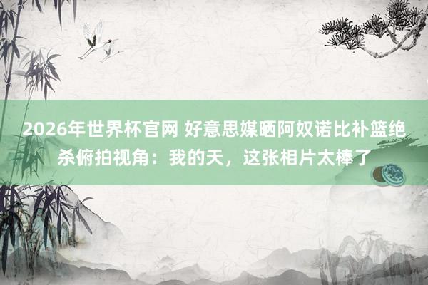 2026年世界杯官网 好意思媒晒阿奴诺比补篮绝杀俯拍视角：我的天，这张相片太棒了