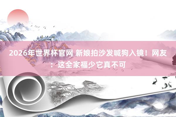 2026年世界杯官网 新娘拍沙发喊狗入镜！网友：这全家福少它真不可