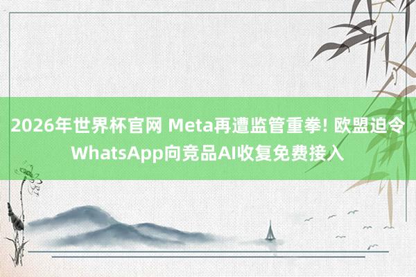 2026年世界杯官网 Meta再遭监管重拳! 欧盟迫令WhatsApp向竞品AI收复免费接入