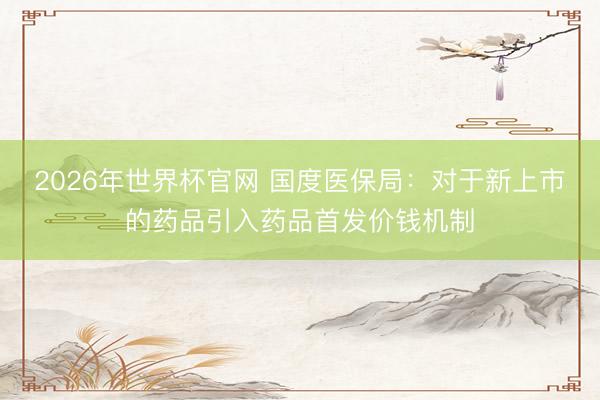 2026年世界杯官网 国度医保局：对于新上市的药品引入药品首发价钱机制