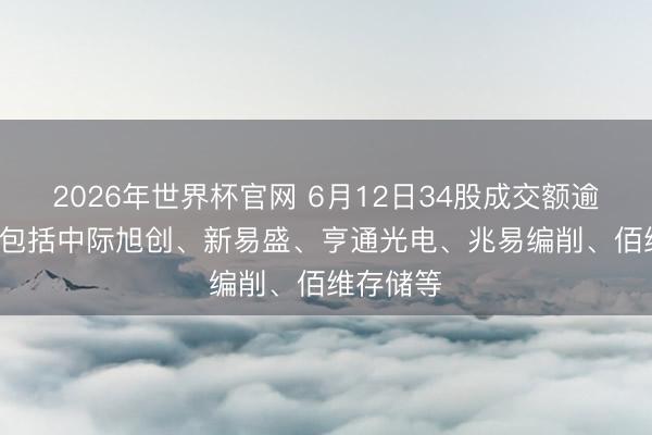 2026年世界杯官网 6月12日34股成交额逾越百亿, 包括中际旭创、新易盛、亨通光电、兆易编削、佰维存储等