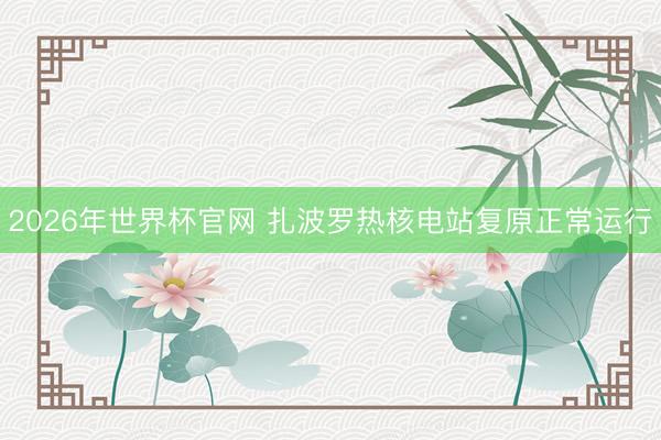 2026年世界杯官网 扎波罗热核电站复原正常运行