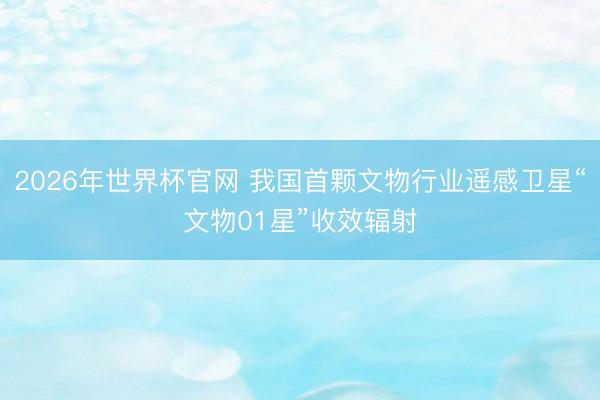 2026年世界杯官网 我国首颗文物行业遥感卫星“文物01星”收效辐射