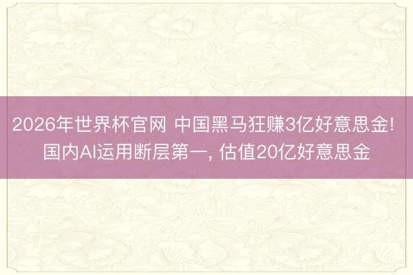 2026年世界杯官网 中国黑马狂赚3亿好意思金! 国内AI运用断层第一, 估值20亿好意思金